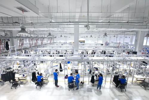 為什么時尚服裝行業(yè)需要程序員